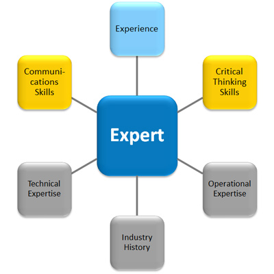 contact center expert witness