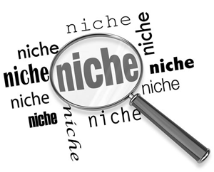 niche technologies for contact centers