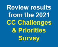 2021 Challenges and Priorities Survey